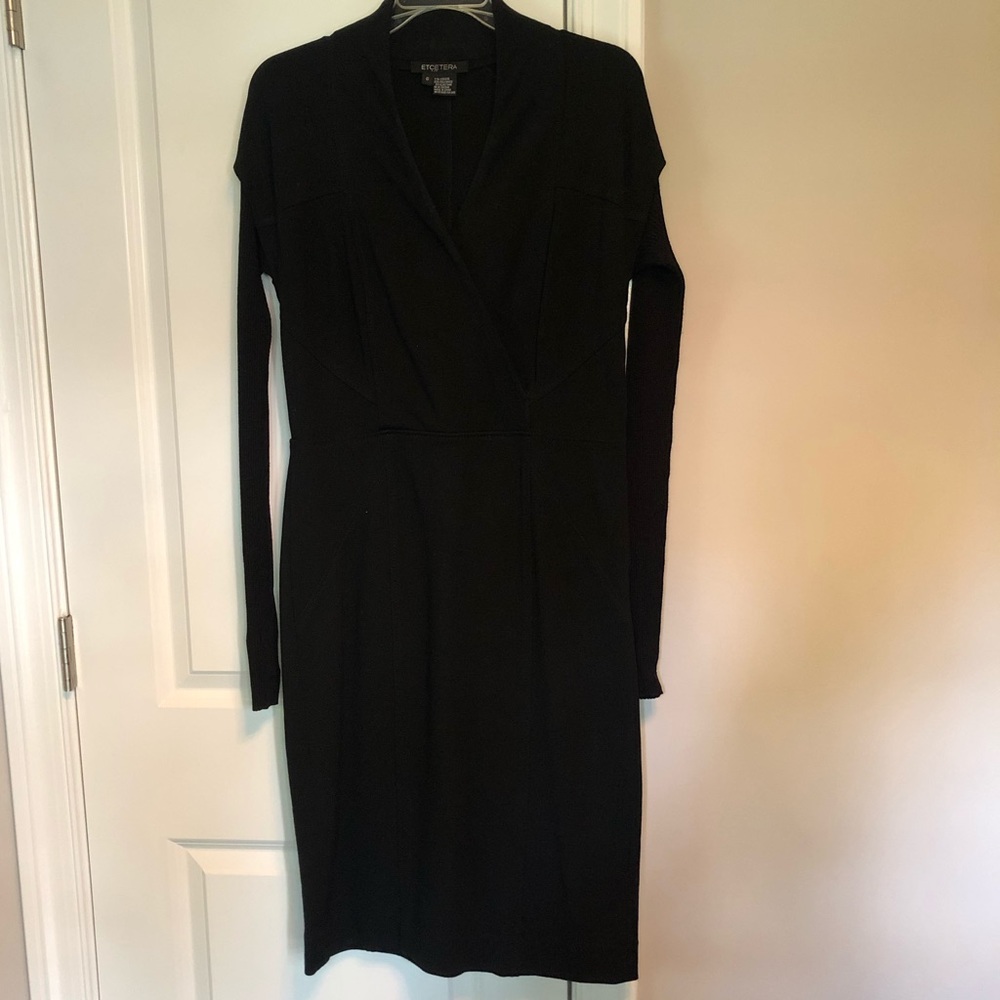 Etcetera Women’s Dress, Black, Sweater Sleeves, 6